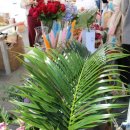 호텔마음 이미지