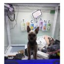 인형뽑기뽑기 이미지