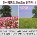 농협경제지주 안성팜랜드 승마센터 이미지