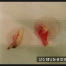 행담 동물병원 이미지