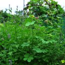 월야농장 이미지