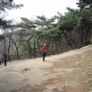 설울 이미지