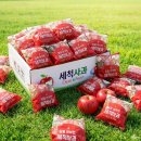 토스쇼핑) 세척사과, 최대15brix, 마트납품용, 꿀사과, 3kg, 1박스, 10,900원 이미지
