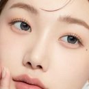 안경나라위드렌즈 이미지