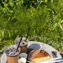 커피사네 | 아산 5월에 꼭 가야하는 카페 추천 초록빛으로 가득한 사네 커피