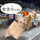 2024년 11월 셋째주 응트콤