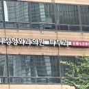 다나성형외과 헤어라인 교정 모발이식 내돈내산 찐 후기 + 지인할인 방법 공유