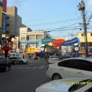 사일온천 Daum카페