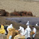 김정남농장 이미지