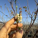 한나농장 이미지