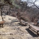 마비정길 이미지