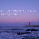 법무법인한율 네이버블로그