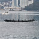 지세포친수공간 이미지