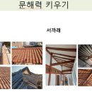 옛이야기로 문해력 키우기 이미지