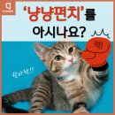 냥냥펀치 이미지