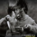 예술창작박물관 이미지