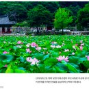 유등연지 둘레길 이미지