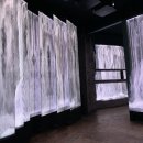 (주)디자인실버피쉬