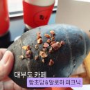 피크닉 | 대부도카페 ) 함초당 &amp; 알로하피크닉 솔직후기(메뉴,가격,주차)