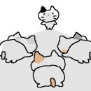 강서실업(주) 이미지