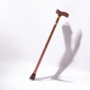 주식회사 지팡이