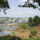 주월리한배미마을 이미지