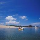아라메길(도비산) | 충남 서산 가볼만한곳 베스트10 여행 명소 추천