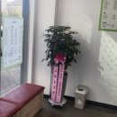 샌드샐리 네이버블로그