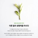 골든픽 | [오설록 신상] 2026 골든픽 프리미엄 말차 내돈내산 솔직후기💚 집에서도 카페 같은 말차라떼!
