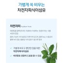 인셀덤스페셜 | 세럼.크림 2+1 할인 행사] 라이프닝 인셀덤 딥톡 플러스 후기 – 변비·설사·면역·남성건강까지 잡는...