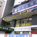 고척원동물의료센터 | 피치비숑 강아지 알레르기 검진과 힐스 사료_ 고척원동물의료센터