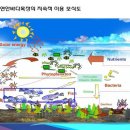 천수만목장 이미지