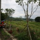 구림면사무소 이미지