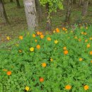 미르공인중개사사무소 이미지