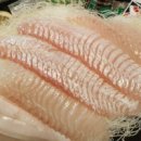 어영차 바다야 Daum카페