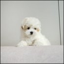 유어라운지 이미지