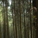 서울여성한의원 이미지