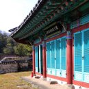 광양 김 시식지 이미지