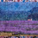 강남랜드 이미지