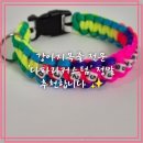 강아지목줄, 수제강아지목줄, 강아지리드줄 &#39;다파라커스텀&#39;
