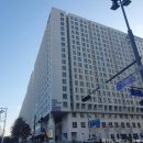 팝콘호텔 | 서울 송파 호텔 파크하비오 슈페리어더블룸 내돈내산 후기 (feat. 팝콘)