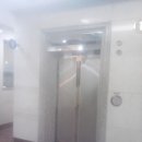 대도산전