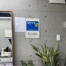 에덴미용실 | 동네 한 바퀴 : 긴 머리 히피펌 망원동 에덴미용실