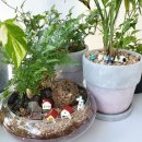 장식농장3 이미지