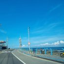 제이피아이 헬스케어(주) | 8월 제주 가족 여행 시작과 제이피아이헬스케어 공모주 상장 매도 후기(수익 시현)