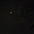 성보고등학교 이미지