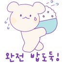 장정정 카카오 검색결과