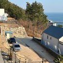 남해블라썸 이미지