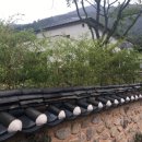 두베(Dubhe) 하우스 네이버블로그
