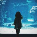 어린이 그림자극 피터와 늑대 | [육아원리탐구] 양질의 콘텐츠란 무엇인가 – 아이가 좋아하는 것과 좋은 것 사이에서